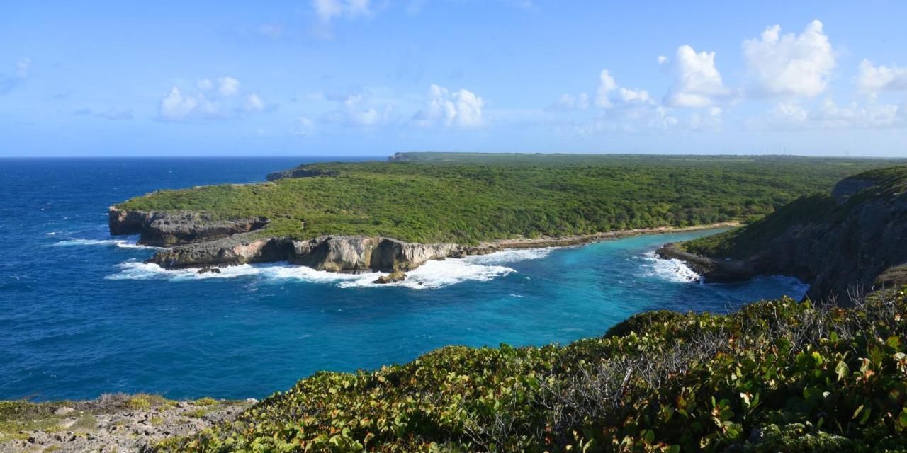 Locastudio - Carambole Sainte-Anne  Bagian luar foto